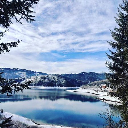 Tara Land Otel Zaovine Dış mekan fotoğraf