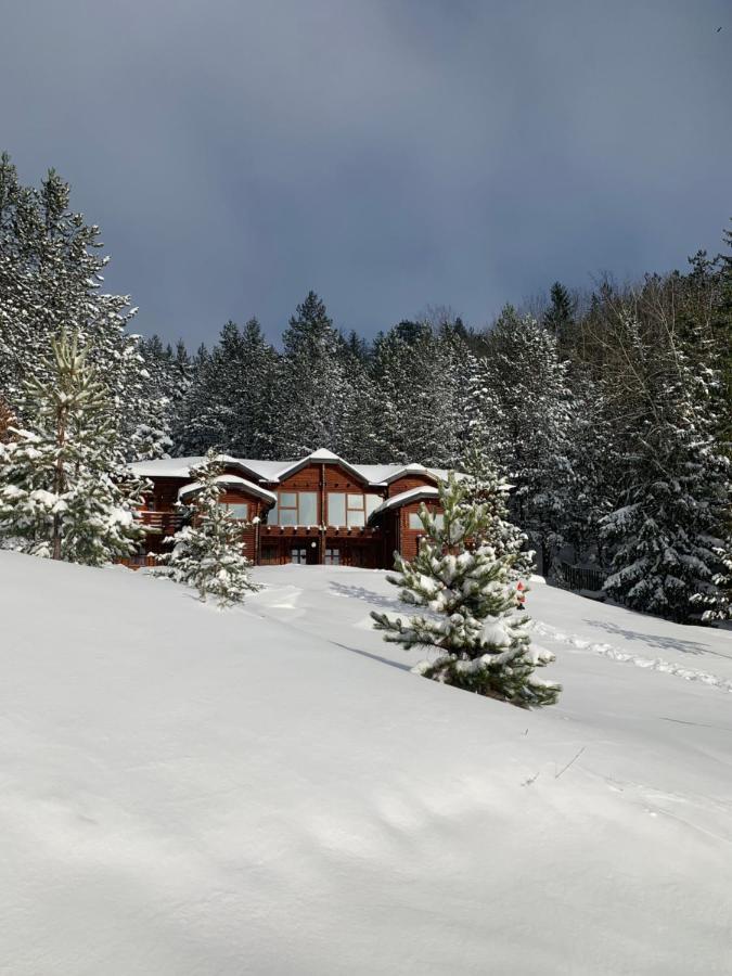 Tara Land Otel Zaovine Dış mekan fotoğraf